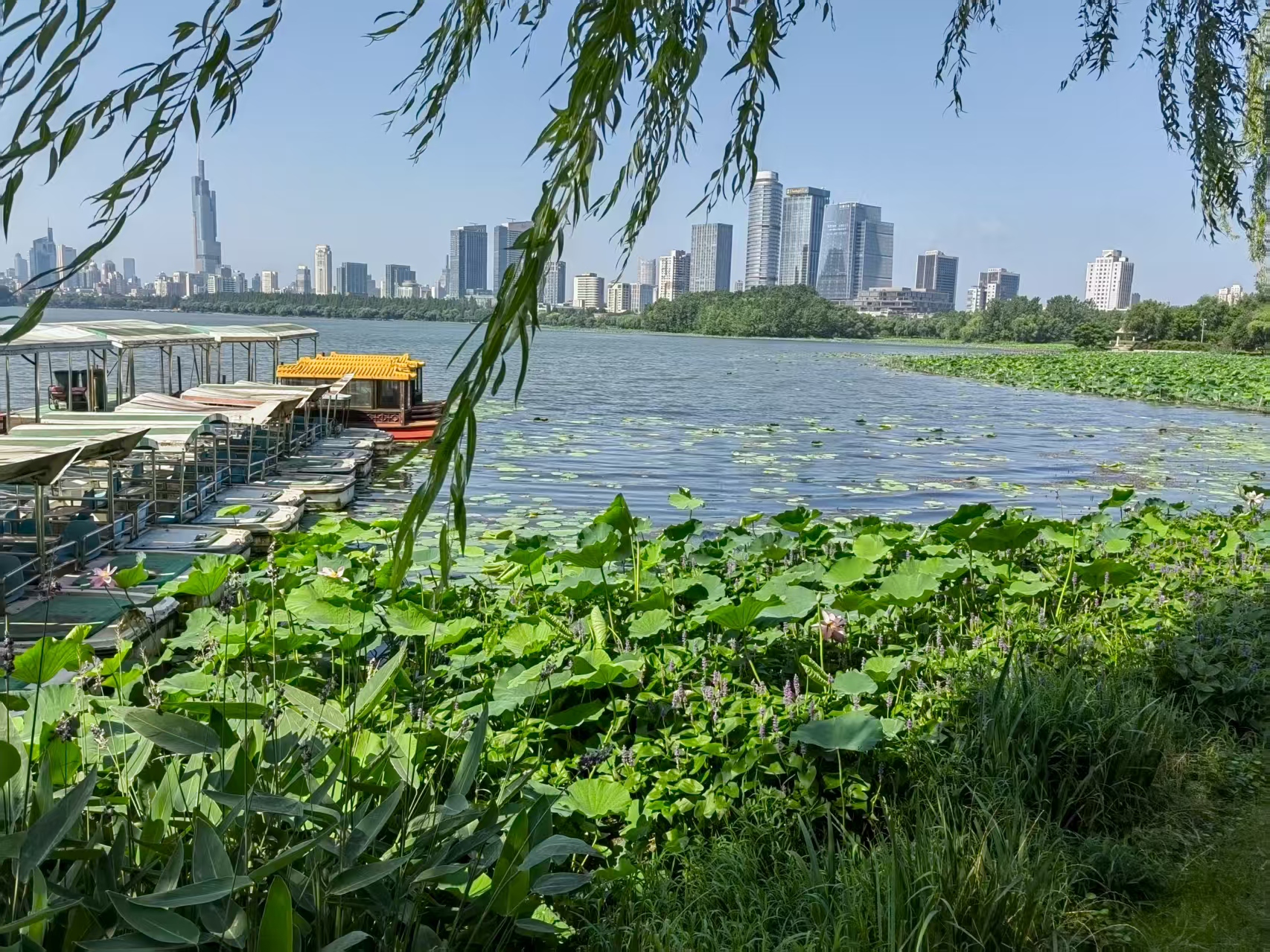 第十一届中国大学生程序设计竞赛 哈尔滨站（CCPC 2025 Harbin Site）赛后总结（VP）